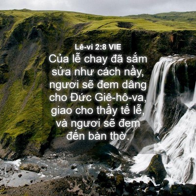 Picture 04 - Lê-vi 2:8 VIE - Của lễ chay đã sắm sửa như cách - Bible Verse Picture