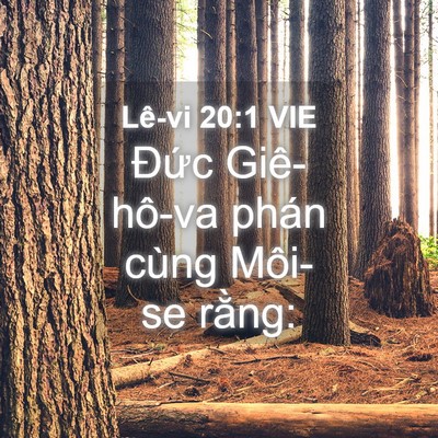 Picture 04 - Lê-vi 20:1 VIE - Đức Giê-hô-va phán cùng Môi-se - Bible Verse Picture