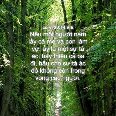 Picture 04 - Lê-vi 20:14 VIE - Nếu một người nam lấy cả mẹ và con - Bible Verse Picture