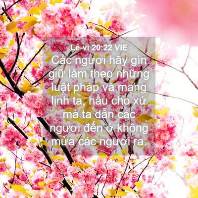 Picture 04 - Lê-vi 20:22 VIE - Các ngươi hãy gìn giữ làm theo những - Bible Verse Picture