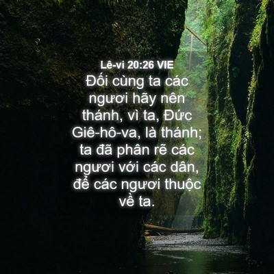 Picture 04 - Lê-vi 20:26 VIE - Đối cùng ta các ngươi hãy nên thánh, - Bible Verse Picture
