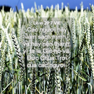 Picture 04 - Lê-vi 20:7 VIE - Các ngươi hãy làm sạch mình, và hãy - Bible Verse Picture
