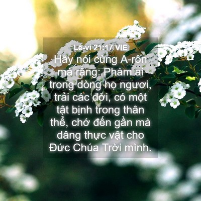 Picture 04 - Lê-vi 21:17 VIE - Hãy nói cùng A-rôn mà rằng: Phàm ai trong - Bible Verse Picture