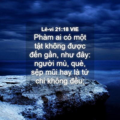 Picture 04 - Lê-vi 21:18 VIE - Phàm ai có một tật không được đến - Bible Verse Picture