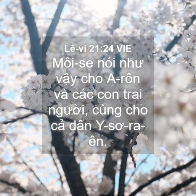 Picture 04 - Lê-vi 21:24 VIE - Môi-se nói như vậy cho A-rôn và các con - Bible Verse Picture