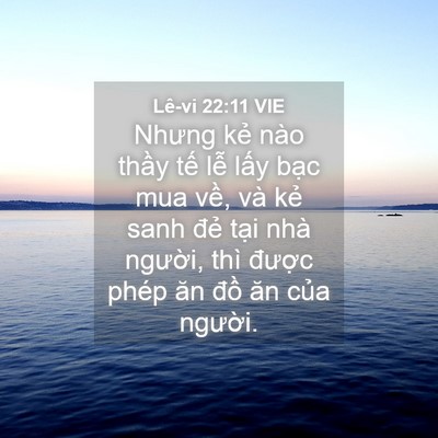Picture 04 - Lê-vi 22:11 VIE - Nhưng kẻ nào thầy tế lễ lấy bạc mua - Bible Verse Picture