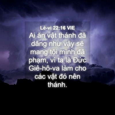 Picture 04 - Lê-vi 22:16 VIE - Ai ăn vật thánh đã dâng như vậy sẽ - Bible Verse Picture