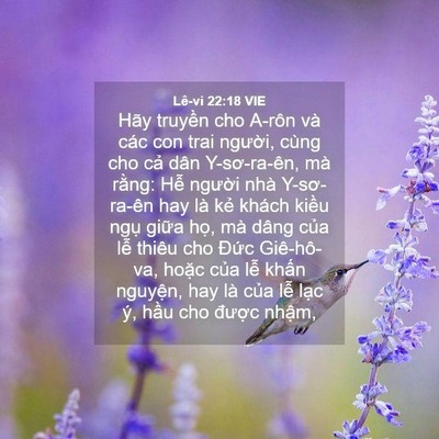 Picture 04 - Lê-vi 22:18 VIE - Hãy truyền cho A-rôn và các con trai - Bible Verse Picture