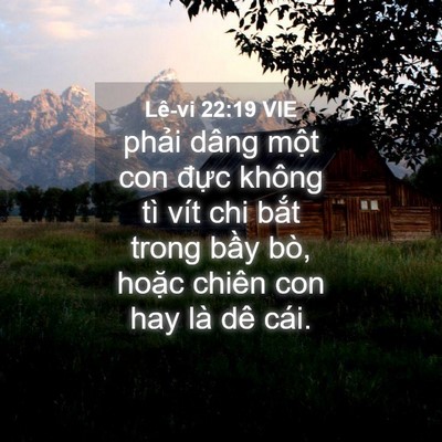 Picture 04 - Lê-vi 22:19 VIE - phải dâng một con đực không tì vít chi - Bible Verse Picture