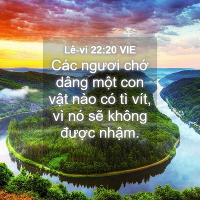 Picture 04 - Lê-vi 22:20 VIE - Các ngươi chớ dâng một con vật nào có - Bible Verse Picture