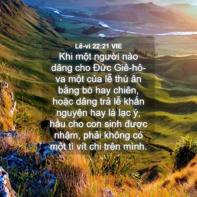 Picture 04 - Lê-vi 22:21 VIE - Khi một người nào dâng cho Đức - Bible Verse Picture