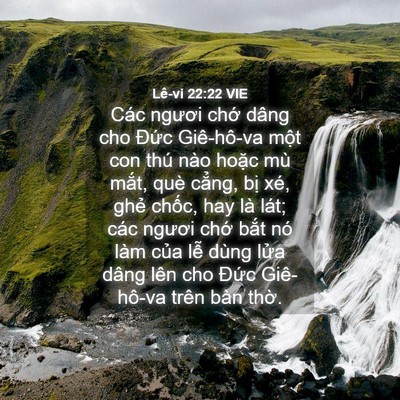 Picture 04 - Lê-vi 22:22 VIE - Các ngươi chớ dâng cho Đức Giê-hô-va - Bible Verse Picture