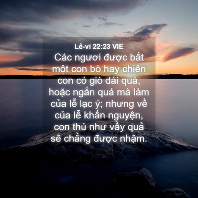 Picture 04 - Lê-vi 22:23 VIE - Các ngươi được bắt một con bò hay - Bible Verse Picture