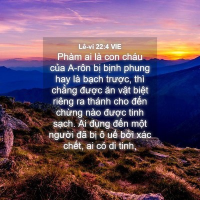Picture 04 - Lê-vi 22:4 VIE - Phàm ai là con cháu của A-rôn bị bịnh - Bible Verse Picture