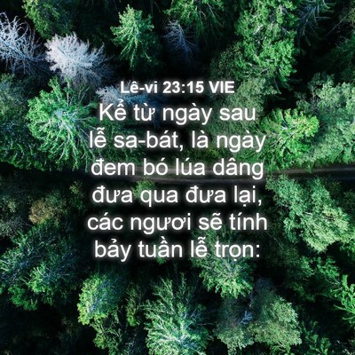 Picture 04 - Lê-vi 23:15 VIE - Kể từ ngày sau lễ sa-bát, là ngày đem - Bible Verse Picture