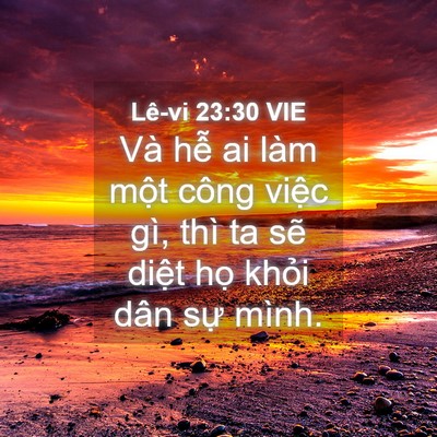 Picture 04 - Lê-vi 23:30 VIE - Và hễ ai làm một công việc gì, thì ta - Bible Verse Picture