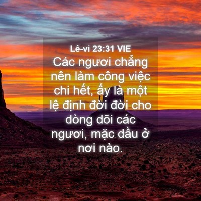 Picture 04 - Lê-vi 23:31 VIE - Các ngươi chẳng nên làm công việc chi - Bible Verse Picture