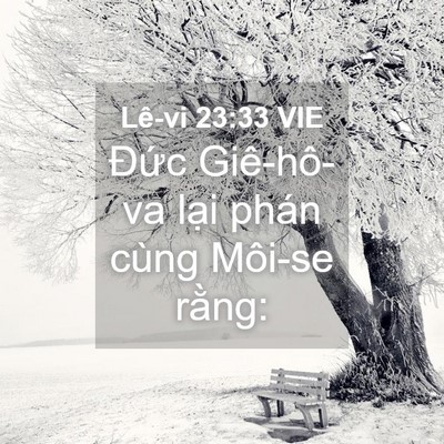 Picture 04 - Lê-vi 23:33 VIE - Đức Giê-hô-va lại phán cùng Môi-se - Bible Verse Picture