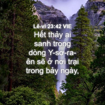 Picture 04 - Lê-vi 23:42 VIE - Hết thảy ai sanh trong dòng Y-sơ-ra-ên - Bible Verse Picture