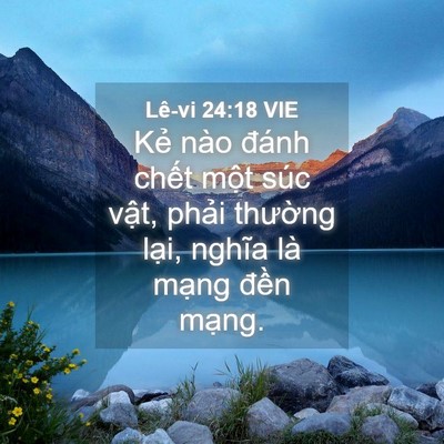 Picture 04 - Lê-vi 24:18 VIE - Kẻ nào đánh chết một súc vật, phải - Bible Verse Picture