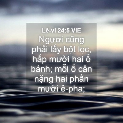 Picture 04 - Lê-vi 24:5 VIE - Ngươi cũng phải lấy bột lọc, hấp - Bible Verse Picture
