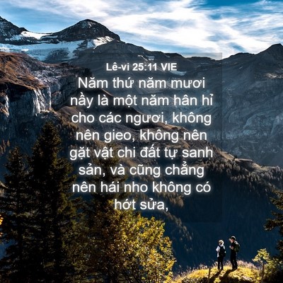 Picture 04 - Lê-vi 25:11 VIE - Năm thứ năm mươi nầy là một năm hân - Bible Verse Picture