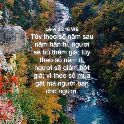 Picture 04 - Lê-vi 25:16 VIE - Tùy theo số năm sau năm hân hỉ, ngươi - Bible Verse Picture