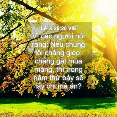 Picture 04 - Lê-vi 25:20 VIE - Vì các ngươi nói rằng: Nếu chúng tôi - Bible Verse Picture