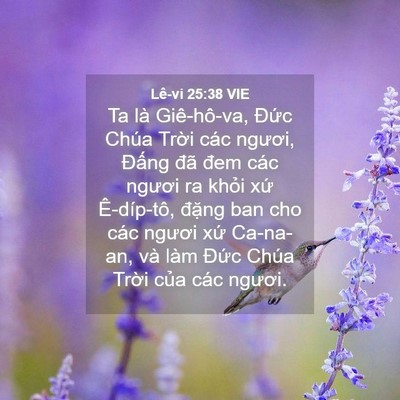 Picture 04 - Lê-vi 25:38 VIE - Ta là Giê-hô-va, Đức Chúa Trời các - Bible Verse Picture