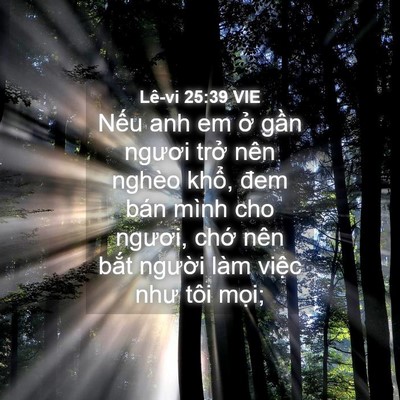 Picture 04 - Lê-vi 25:39 VIE - Nếu anh em ở gần ngươi trở nên nghèo - Bible Verse Picture