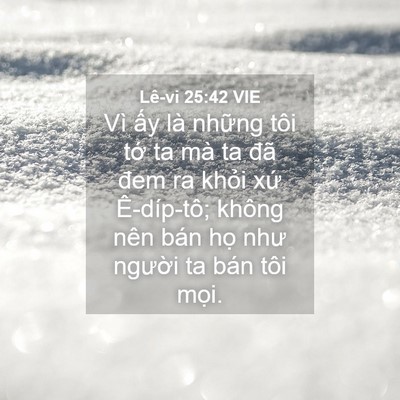 Picture 04 - Lê-vi 25:42 VIE - Vì ấy là những tôi tớ ta mà ta đã - Bible Verse Picture