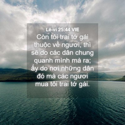 Picture 04 - Lê-vi 25:44 VIE - Còn tôi trai tớ gái thuộc về ngươi, - Bible Verse Picture