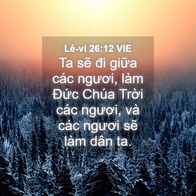 Picture 04 - Lê-vi 26:12 VIE - Ta sẽ đi giữa các ngươi, làm Đức - Bible Verse Picture