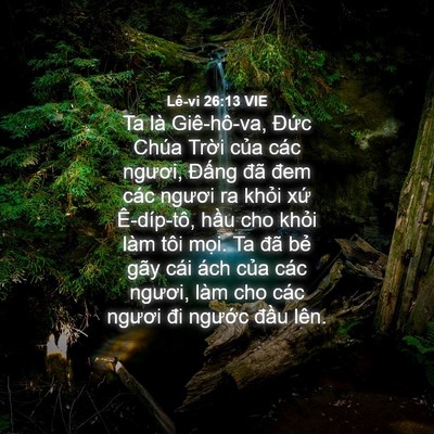 Picture 04 - Lê-vi 26:13 VIE - Ta là Giê-hô-va, Đức Chúa Trời của - Bible Verse Picture