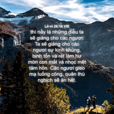 Picture 04 - Lê-vi 26:16 VIE - thì nầy là những điều ta sẽ giáng cho - Bible Verse Picture