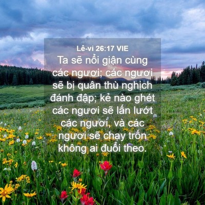 Picture 04 - Lê-vi 26:17 VIE - Ta sẽ nổi giận cùng các ngươi; các - Bible Verse Picture