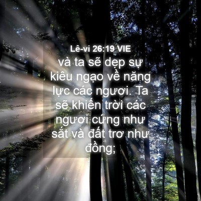 Picture 04 - Lê-vi 26:19 VIE - và ta sẽ dẹp sự kiêu ngạo về năng - Bible Verse Picture