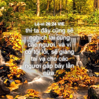 Picture 04 - Lê-vi 26:24 VIE - thì ta đây cũng sẽ nghịch lại cùng - Bible Verse Picture
