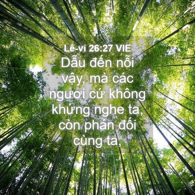 Picture 04 - Lê-vi 26:27 VIE - Dẫu đến nỗi vậy, mà các ngươi cứ - Bible Verse Picture