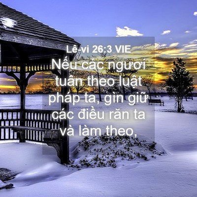 Picture 04 - Lê-vi 26:3 VIE - Nếu các ngươi tuân theo luật pháp ta, - Bible Verse Picture