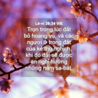Picture 04 - Lê-vi 26:34 VIE - Trọn trong lúc đất bỏ hoang vu, và các - Bible Verse Picture