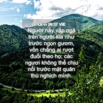 Picture 04 - Lê-vi 26:37 VIE - Người nầy vấp ngã trên người kia như - Bible Verse Picture