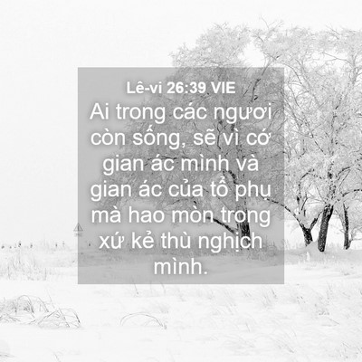 Picture 04 - Lê-vi 26:39 VIE - Ai trong các ngươi còn sống, sẽ vì cớ - Bible Verse Picture