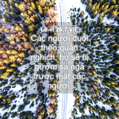 Picture 04 - Lê-vi 26:7 VIE - Các ngươi đuổi theo quân nghịch, họ - Bible Verse Picture