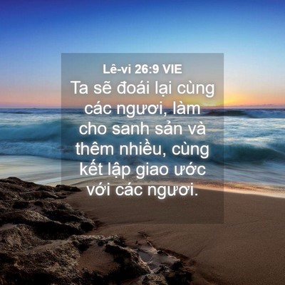 Picture 04 - Lê-vi 26:9 VIE - Ta sẽ đoái lại cùng các ngươi, làm cho - Bible Verse Picture