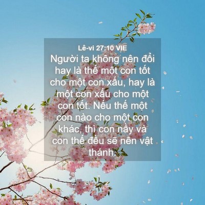 Picture 04 - Lê-vi 27:10 VIE - Người ta không nên đổi hay là thế - Bible Verse Picture