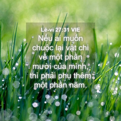 Picture 04 - Lê-vi 27:31 VIE - Nếu ai muốn chuộc lại vật chi về - Bible Verse Picture