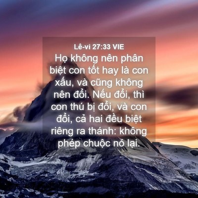 Picture 04 - Lê-vi 27:33 VIE - Họ không nên phân biệt con tốt hay là - Bible Verse Picture