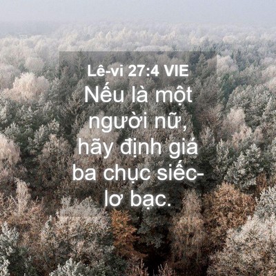 Picture 04 - Lê-vi 27:4 VIE - Nếu là một người nữ, hãy định giá - Bible Verse Picture