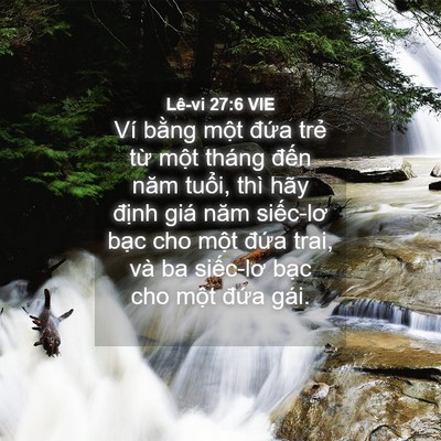 Picture 04 - Lê-vi 27:6 VIE - Ví bằng một đứa trẻ từ một tháng - Bible Verse Picture